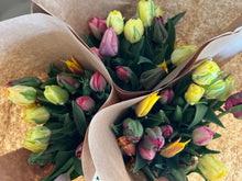 Load image into Gallery viewer, 2024 CSA Tulips &amp; Daffs Share
