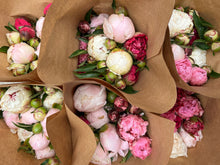 Load image into Gallery viewer, 2024 CSA Exclusive You-Pick Peony Flowers
