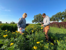 Load image into Gallery viewer, SEASONED FLOWER FARMER REFRESH CONSULT