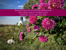 Load image into Gallery viewer, Isabel Tuber