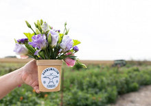 Load image into Gallery viewer, Mini 16 Oz. Compostable Vase - 50 Count