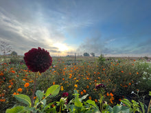 Load image into Gallery viewer, Black Satin Tuber