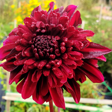 Load image into Gallery viewer, *NEW Soulman Tuber