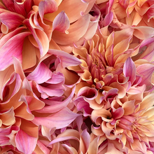 Load image into Gallery viewer, Labyrinth Tuber