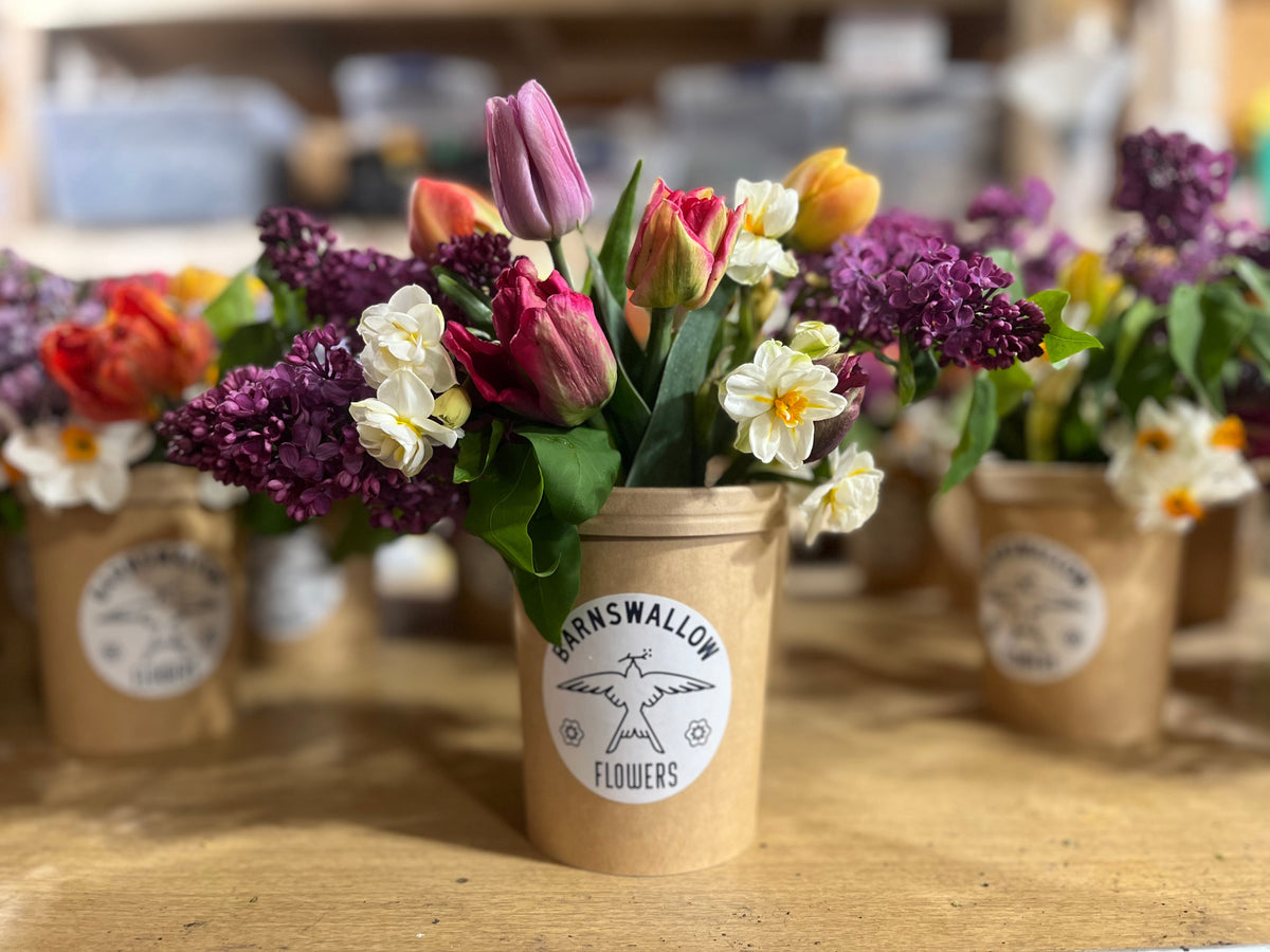 The Compostable Vase Beta Test Collection – Barnswallow Flowers