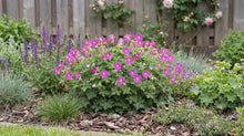 Load image into Gallery viewer, OpenPlantData Geranium Max Frei

