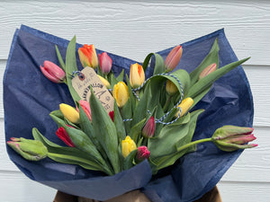 2024 CSA Tulips & Daffs Share