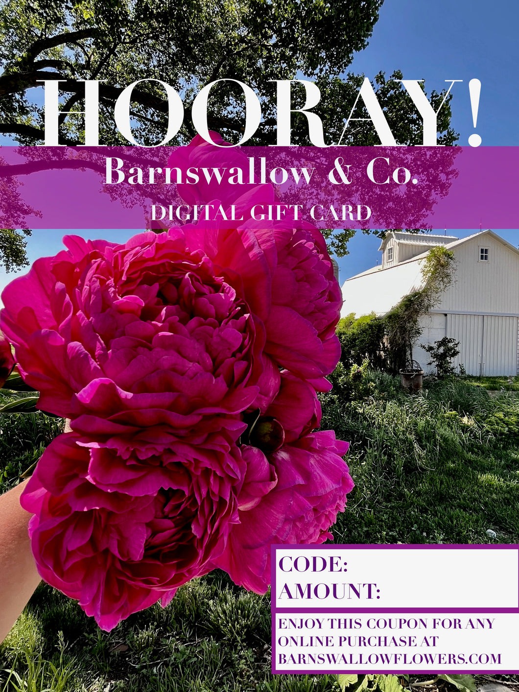 Digital Gift Card for Online!