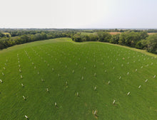 Load image into Gallery viewer, 2024 CSA Exclusive 1 Night Farm Stay &amp; Nuts About Agroforestry

