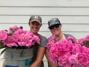 2024 CSA Exclusive You-Pick Peony Flowers