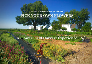 Pick Your Own Flowers - Saturday September 30th from 8AM-12PM