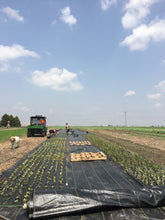 Load image into Gallery viewer, STARTING A FLOWER FARM CONSULT

