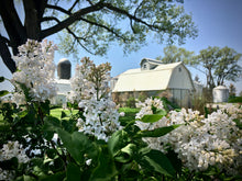 Load image into Gallery viewer, STARTING A FLOWER FARM CONSULT
