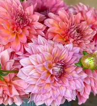 Load image into Gallery viewer, *NEW Kenora Lisa Tuber
