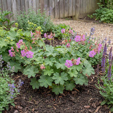 Load image into Gallery viewer, OpenPlantData Geranium BeePub
