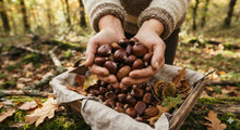 Load image into Gallery viewer, Itty Bitty Chestnutty Box - 3 lbs Whole Raw Fresh Chestnuts
