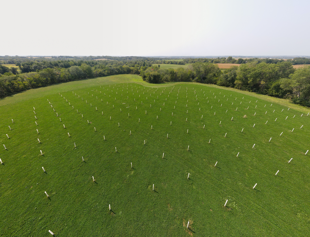 2023 FALL CSA Workshop for Chestnut Orchard Management